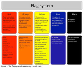 flag-system