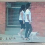 Soula Theo Walking Combi Investigation