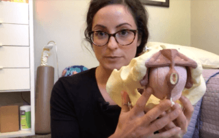 Dr Susie with pelvic model