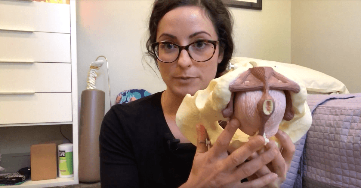 Dr Susie with pelvic model