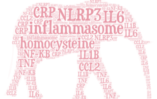 Inflammasome